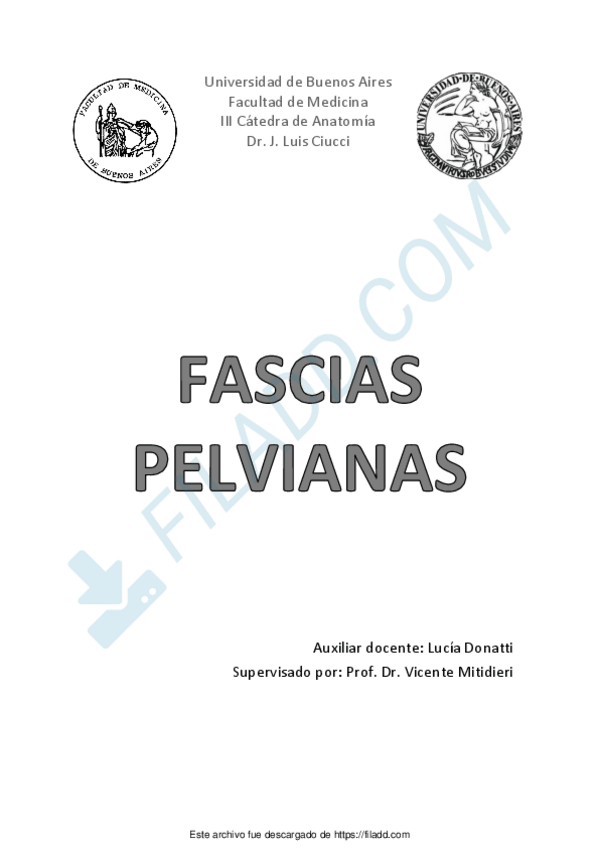 Miniatura del documento Fascias-pelvianas-1.pdf