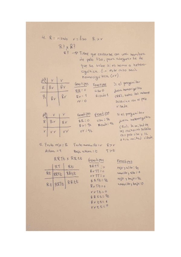 Miniatura del documento ejercicios-de-genetica.pdf