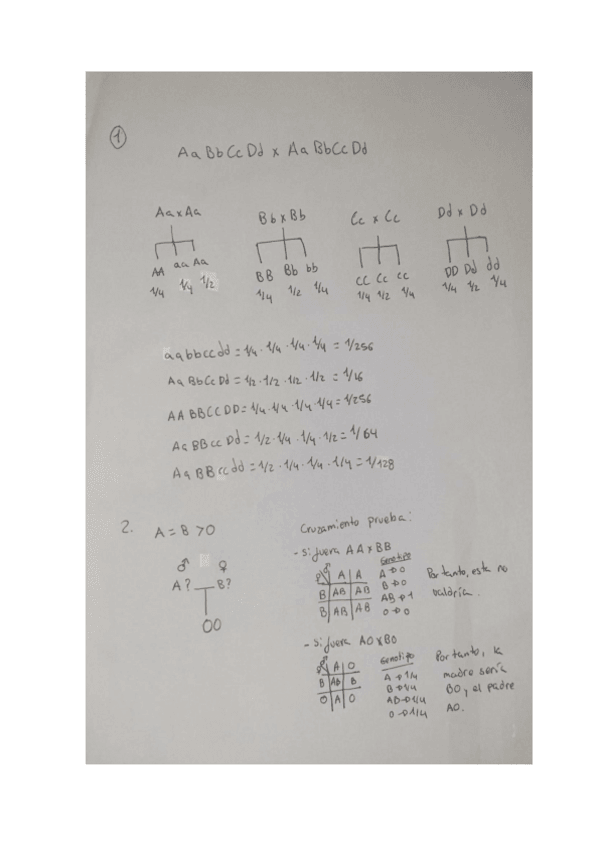 Miniatura del documento ejercicios-de-genetica-2.pdf