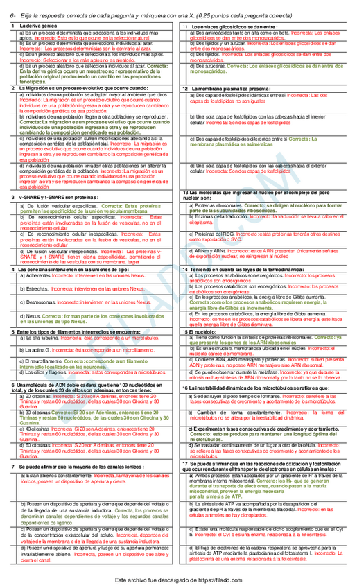 Miniatura del documento ilovepdfmerged-3.pdf