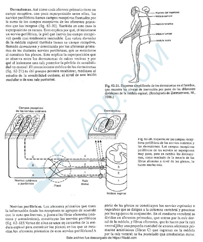 Miniatura del documento Final-de-temas-10-3.pdf