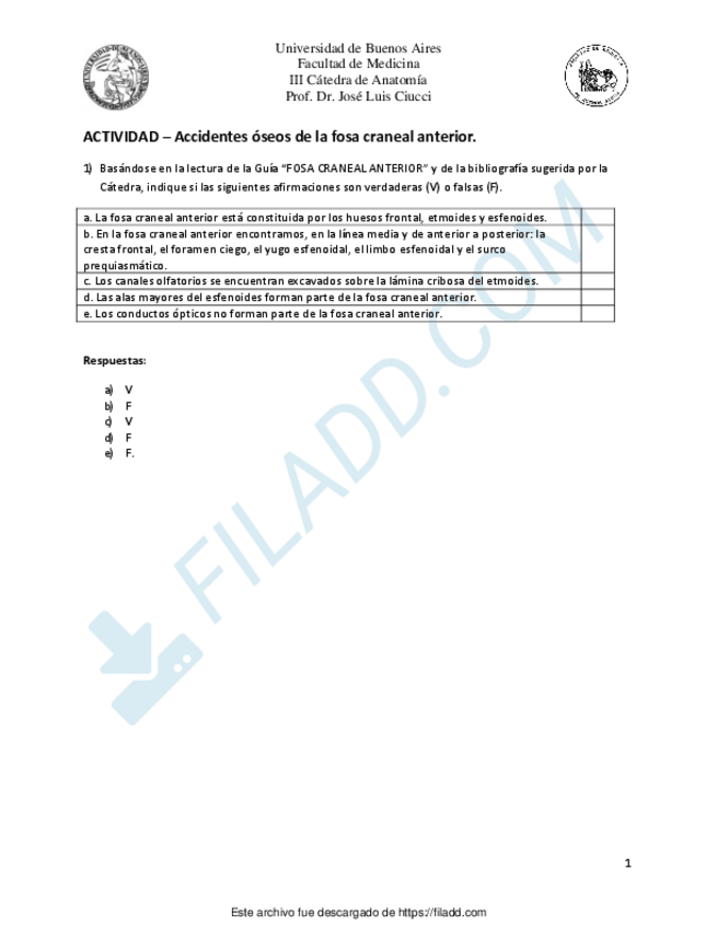Miniatura del documento hueso-temporalmerged-2.pdf