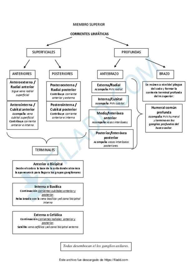 Miniatura del documento Final-de-temas-10-4.pdf