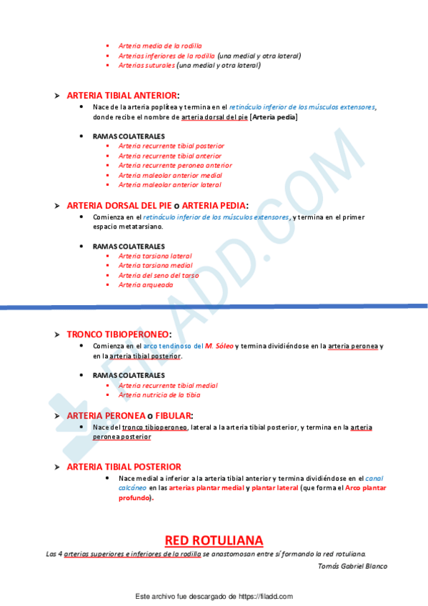 Miniatura del documento LINFATICOS-MSmerged-3.pdf