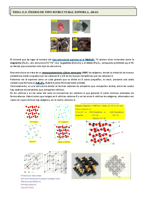Miniatura del documento TEMA 11.5. Espinelas (Regino).pdf
