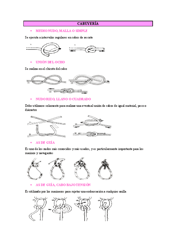 Miniatura del documento TEMA-CABUYERIA.pdf