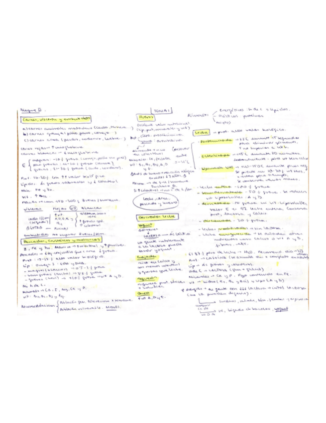 Miniatura del documento Esquemas-nutri-bloque-2.pdf