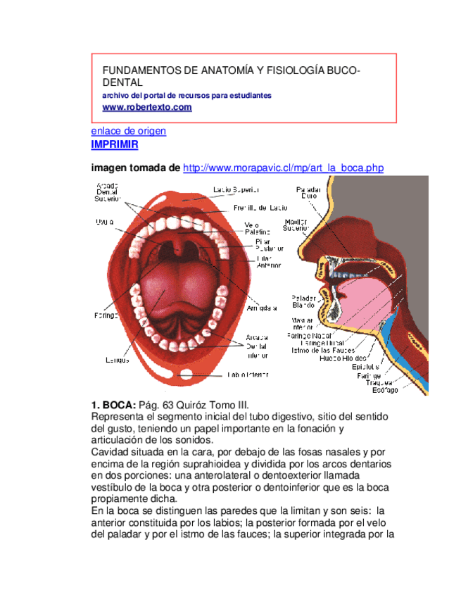 Miniatura del documento Fundamentos-de-Anatomia-y-Fisiologia.pdf
