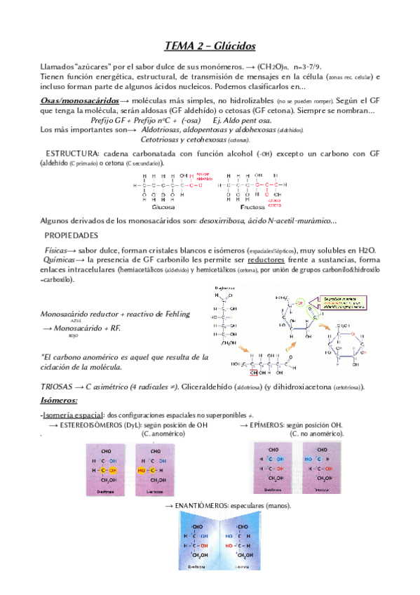 Miniatura del documento Tema-2-Biologia-2oBACH.pdf