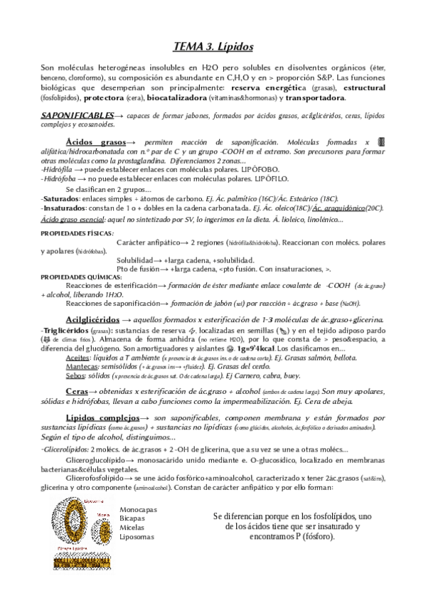 Miniatura del documento Tema-3-biologia-2oBACH.pdf