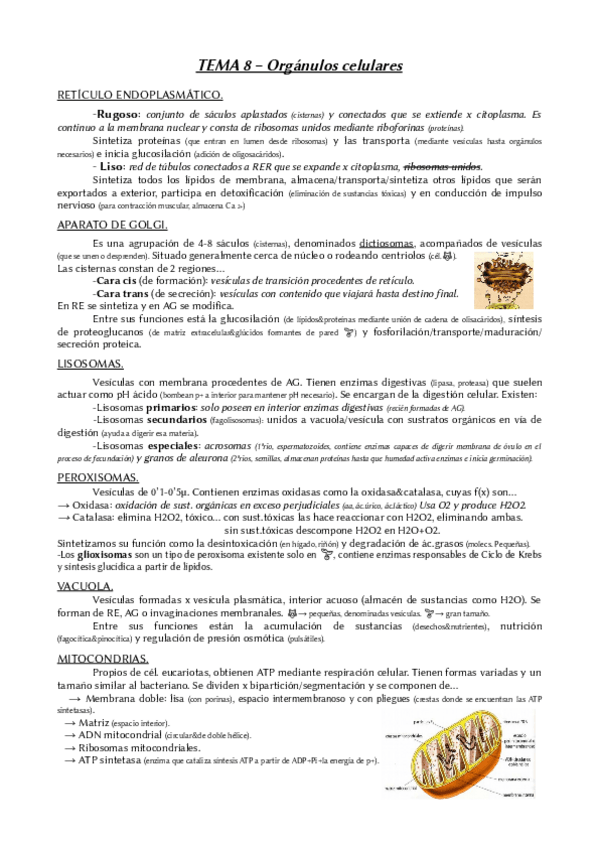 Miniatura del documento TEMA-8-BIOLOGIA-2oBACH.pdf