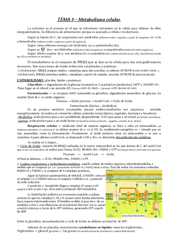 Miniatura del documento TEMA-9-BIOLOGIA-2oBACH.pdf