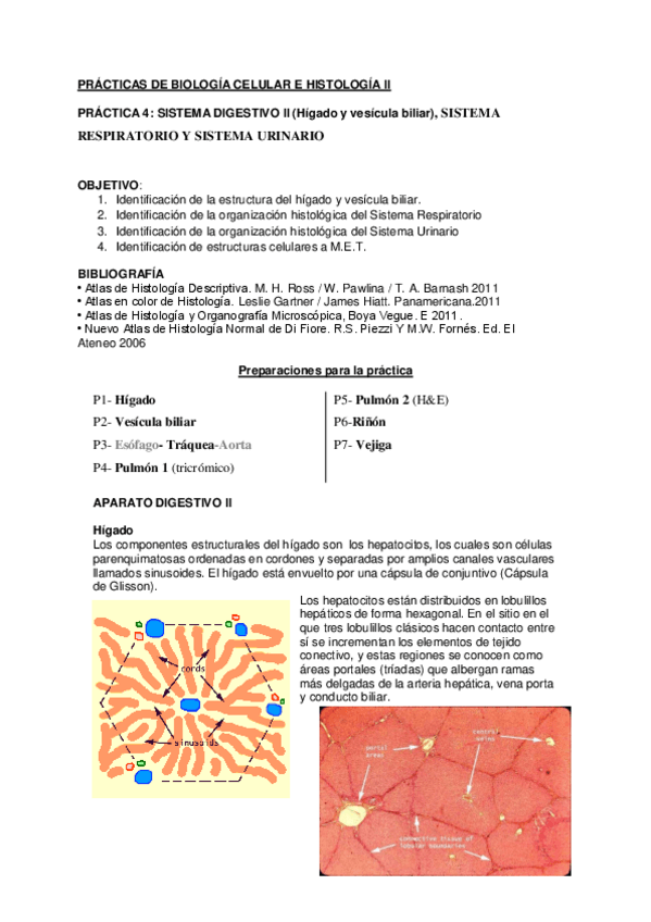 Miniatura del documento 4-a-Practica-BCH-II.pdf