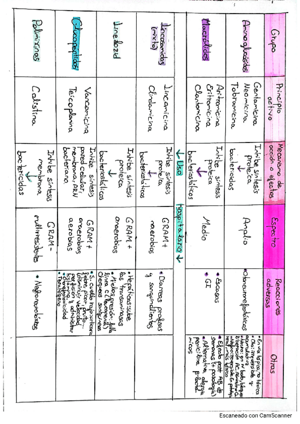 Miniatura del documento Esquema-antibioticos.pdf