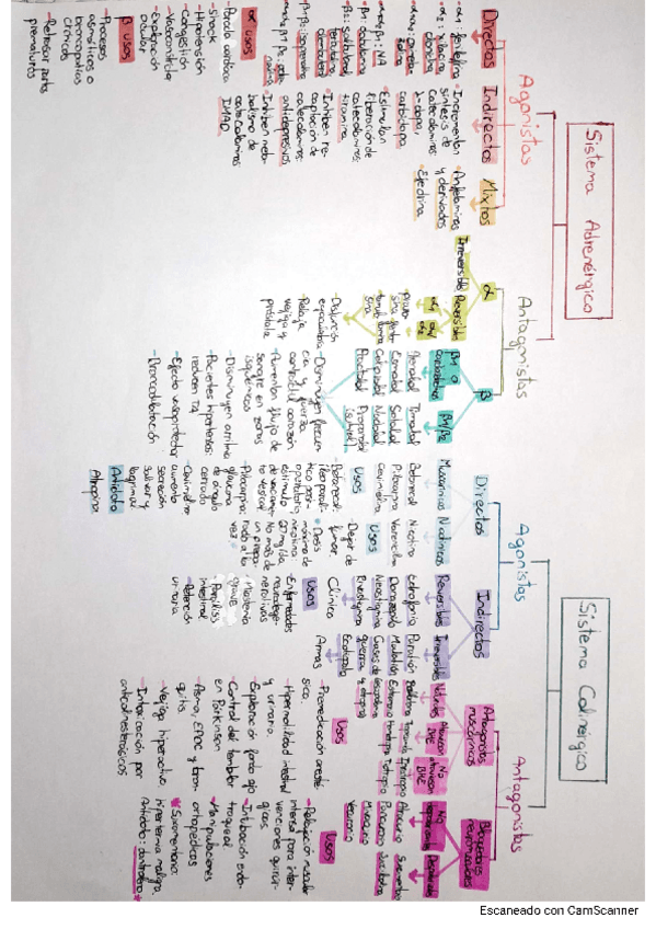 Miniatura del documento Esquema-sistemas-adrenergico-y-colinergico.pdf