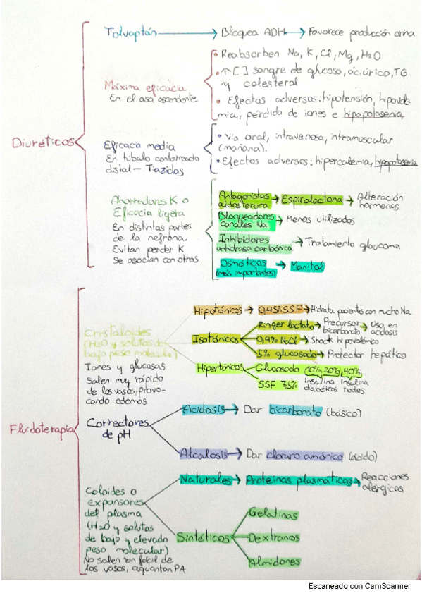 Miniatura del documento Esquema-diureticos-y-fluidoterapia.pdf