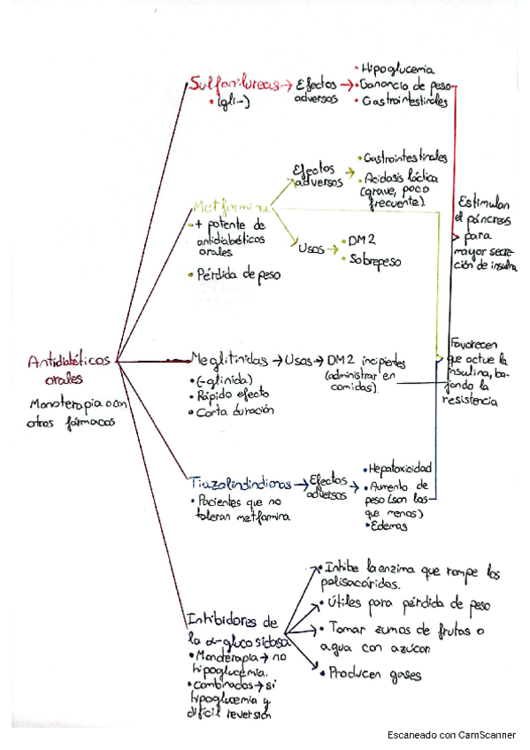 Miniatura del documento Esquema-antidiabeticos-orales.pdf