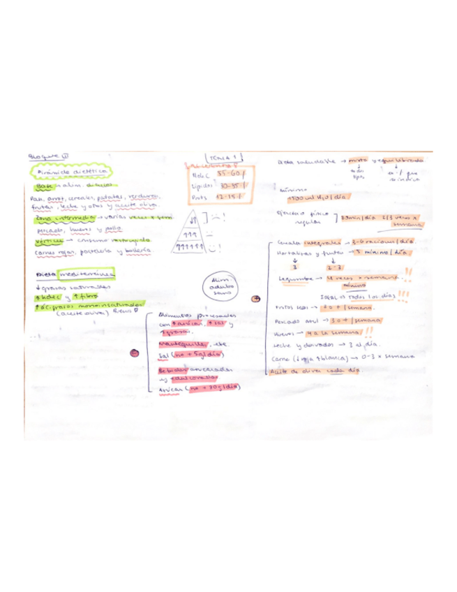 Miniatura del documento Esquemas-nutri-bloque-3.pdf