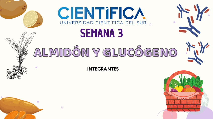 Miniatura del documento Seminario-Almidon-y-Glucogeno.pdf