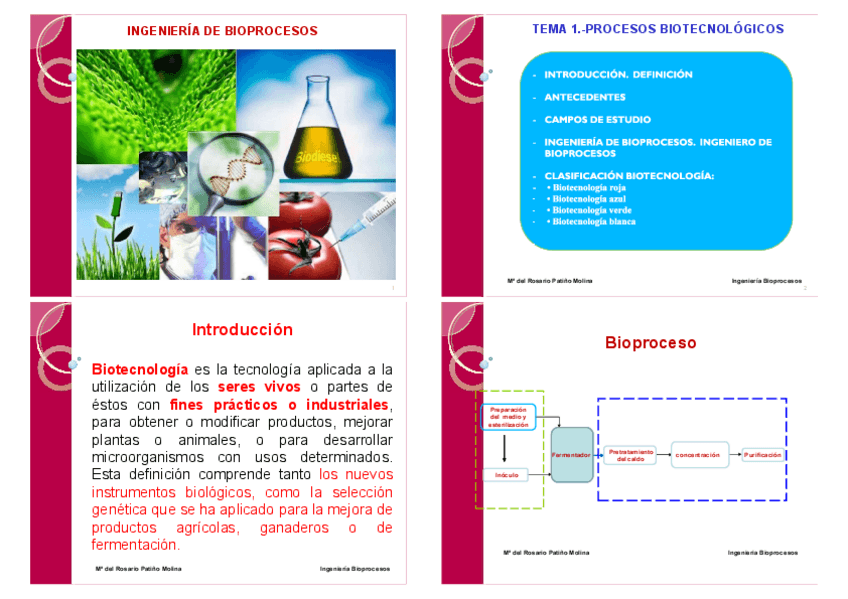 Miniatura del documento Biotecnologia-y-Ingenieria-de-Bioprocesos1.pdf