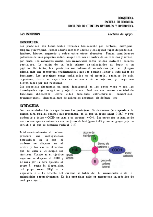 Miniatura del documento Introduccion-a-las-proteinas-Bioquimica.pdf