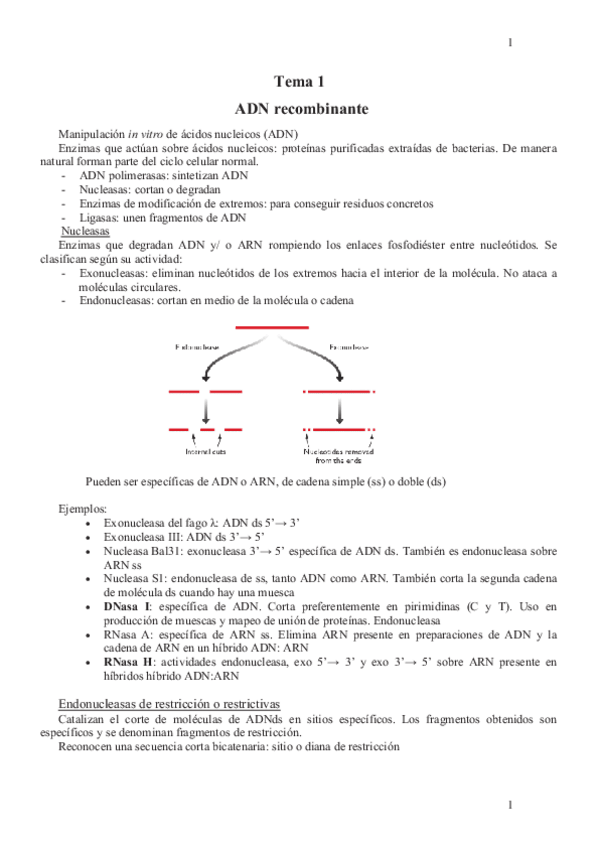Miniatura del documento Genetica-Primer-Parcial.pdf