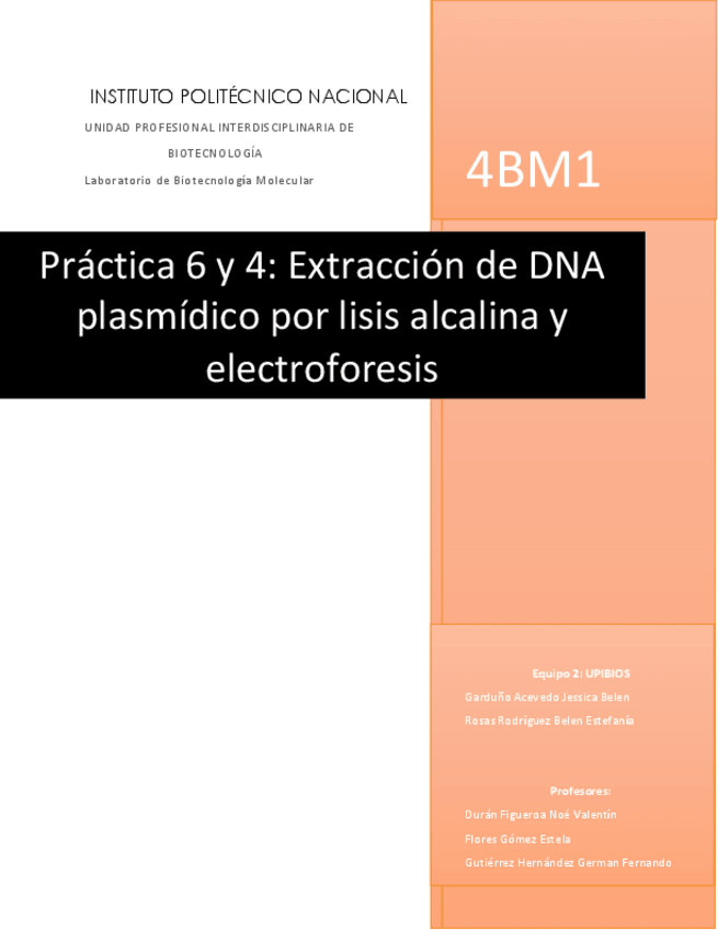 Miniatura del documento Practicas-6-y-4-lisis-alcalina-y-electroforesis-compl.pdf