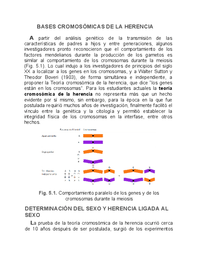 Miniatura del documento Genetica-Humana-VII.pdf