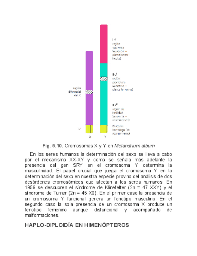 Miniatura del documento Genetica-Humana-VIII.pdf