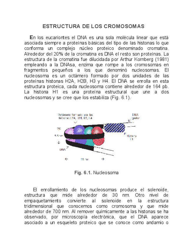 Miniatura del documento Genetica-Humana-IX.pdf