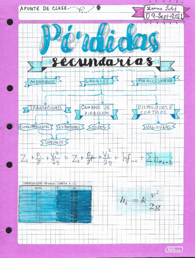 Miniatura del documento PERDIDAS-PRIMARIAS.pdf