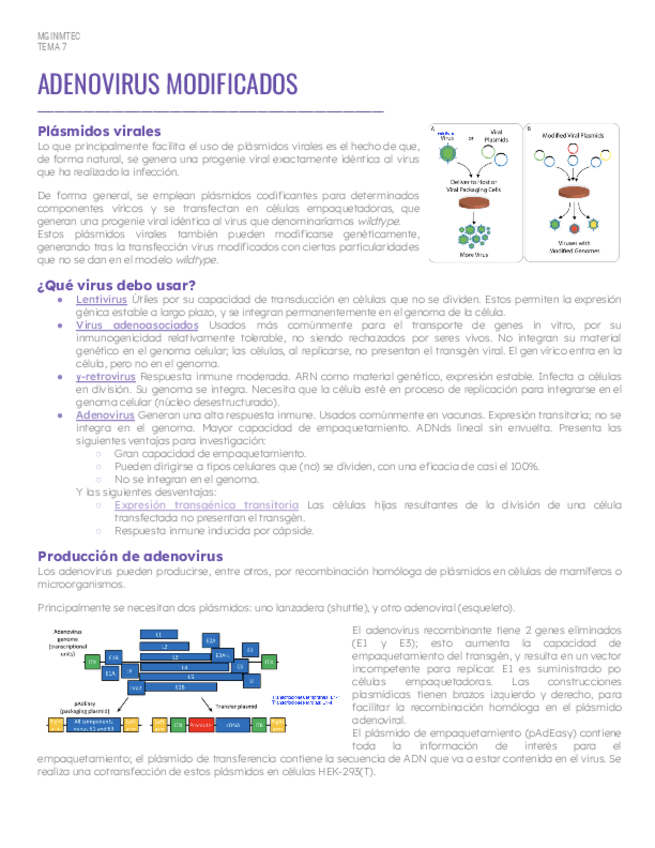Miniatura del documento Tema-7-Adenovirus-modificados.pdf