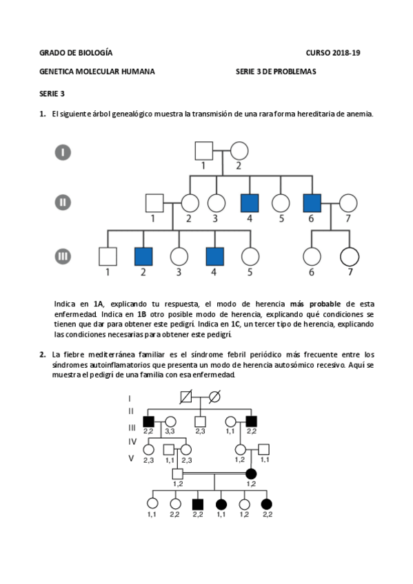 Miniatura del documento Serie-3-de-Problemas-GMH-2018-19.pdf