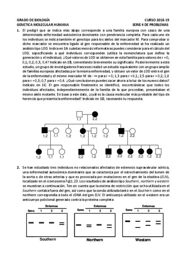 Miniatura del documento Serie-4-de-Problemas-GMH-2018-19.pdf