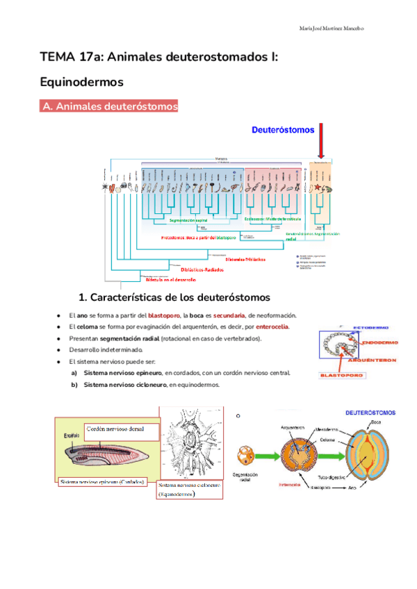 Miniatura del documento Tema-17-ab-y-c-1.pdf