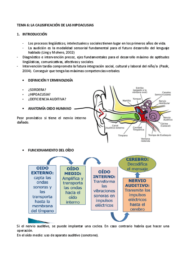 Miniatura del documento TEMA-6-LENGUAJE.pdf