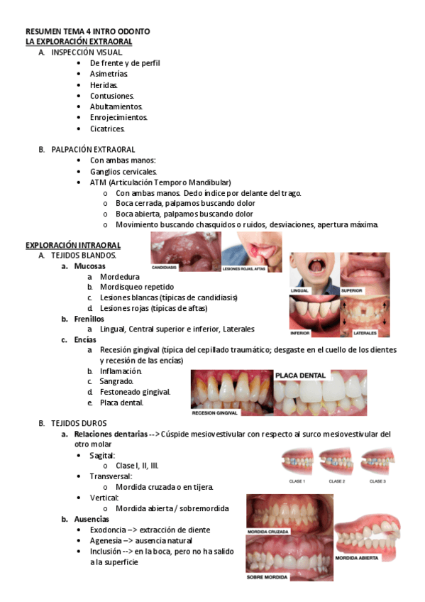 Miniatura del documento RESUMEN-TEMA-4-INTRO-ODONTO.pdf