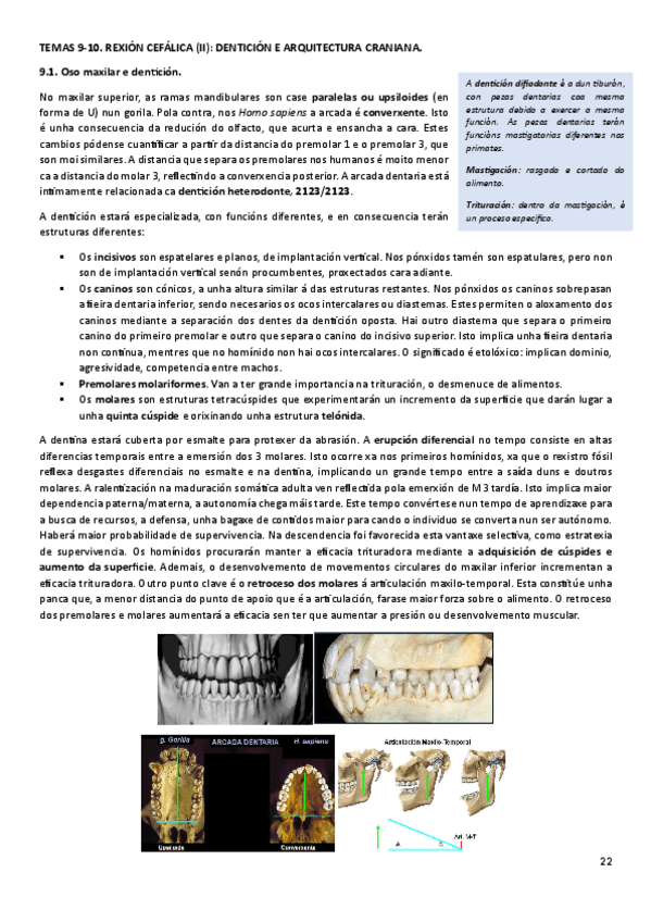 Miniatura del documento T9-10ANT.pdf