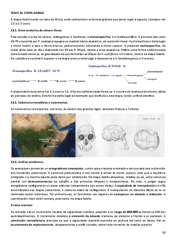 Miniatura del documento T13ANT.pdf