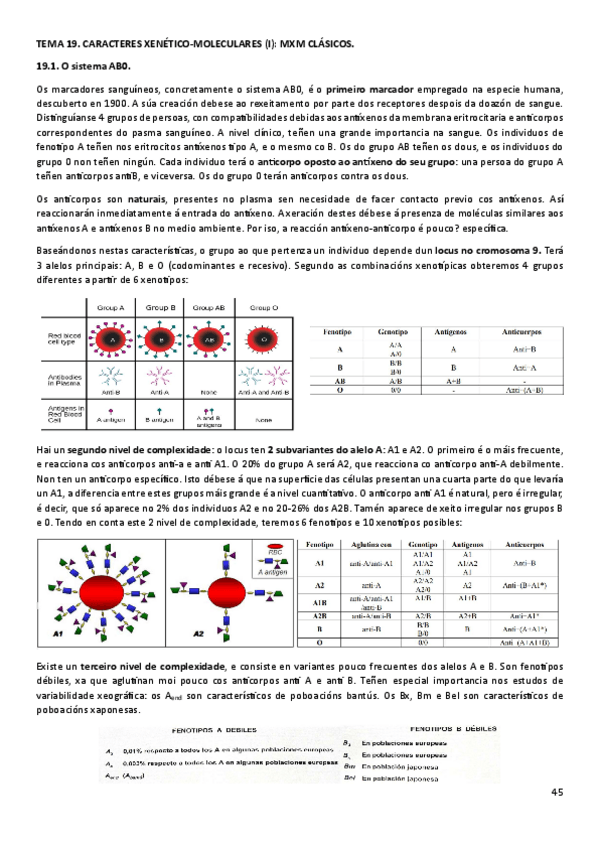 Miniatura del documento T19ANT.pdf