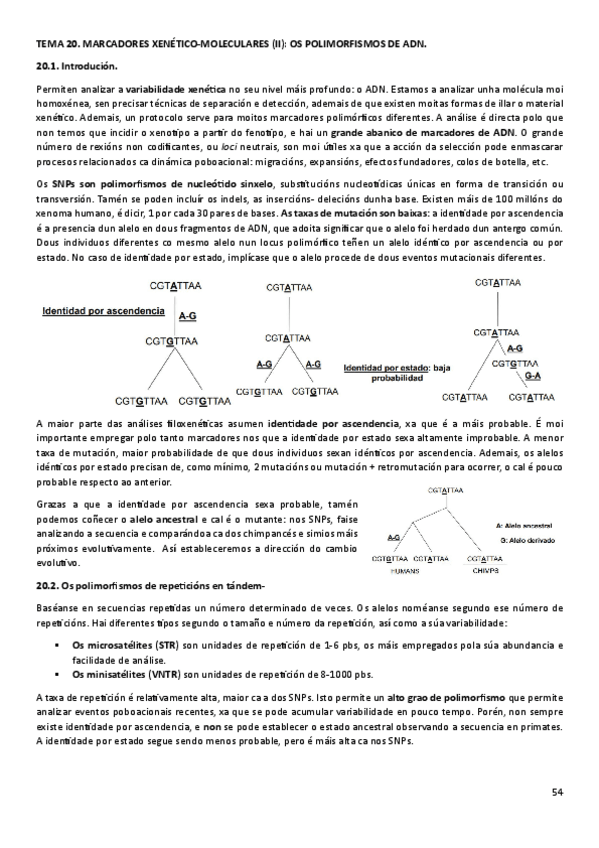 Miniatura del documento T20ANT.pdf