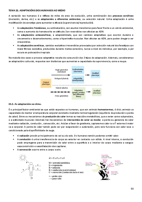 Miniatura del documento T21ANT.pdf