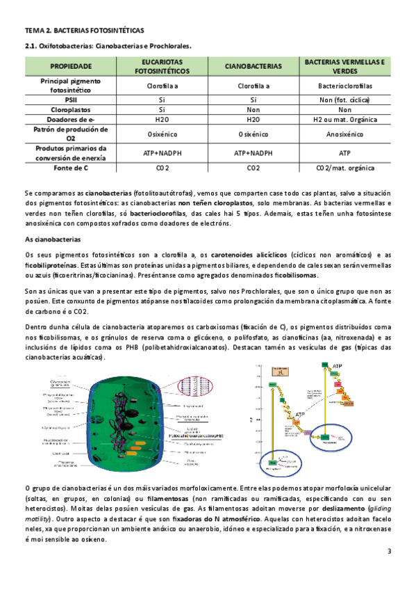 Miniatura del documento MICT2.pdf