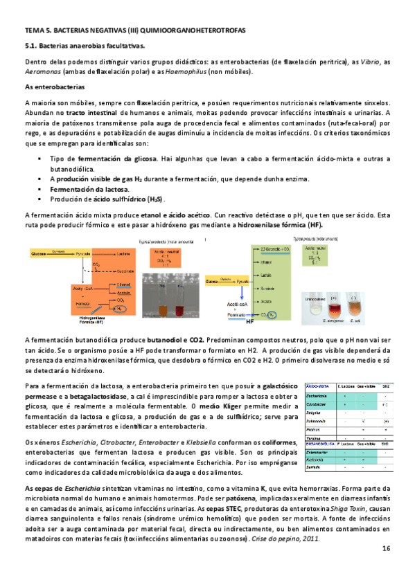 Miniatura del documento MICT5.pdf