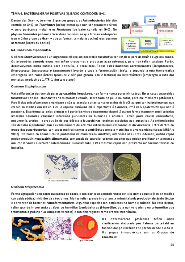 Miniatura del documento MICT6.pdf