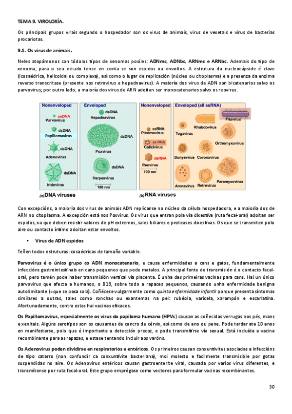 Miniatura del documento MICT9.pdf
