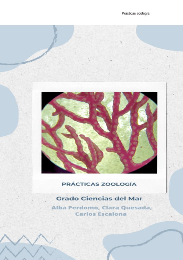 Miniatura del documento Visu-Zoologia.pdf