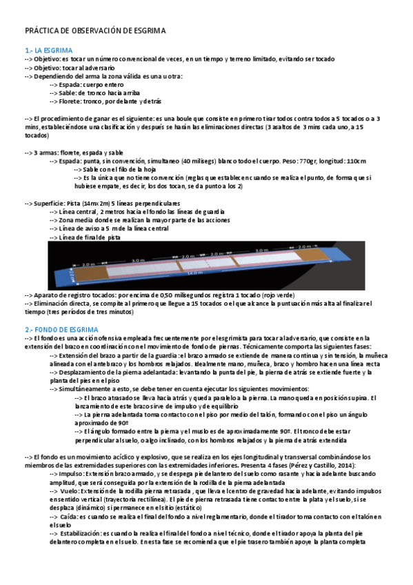 Miniatura del documento PRACTICA-OBSERVACION-ESGRIMA.pdf