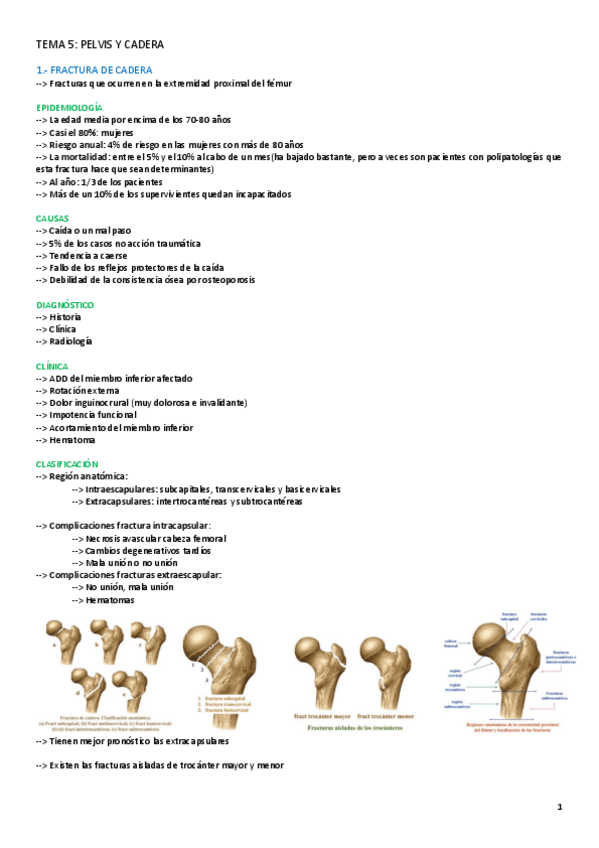 Miniatura del documento TEMA-5-FAL-II.pdf