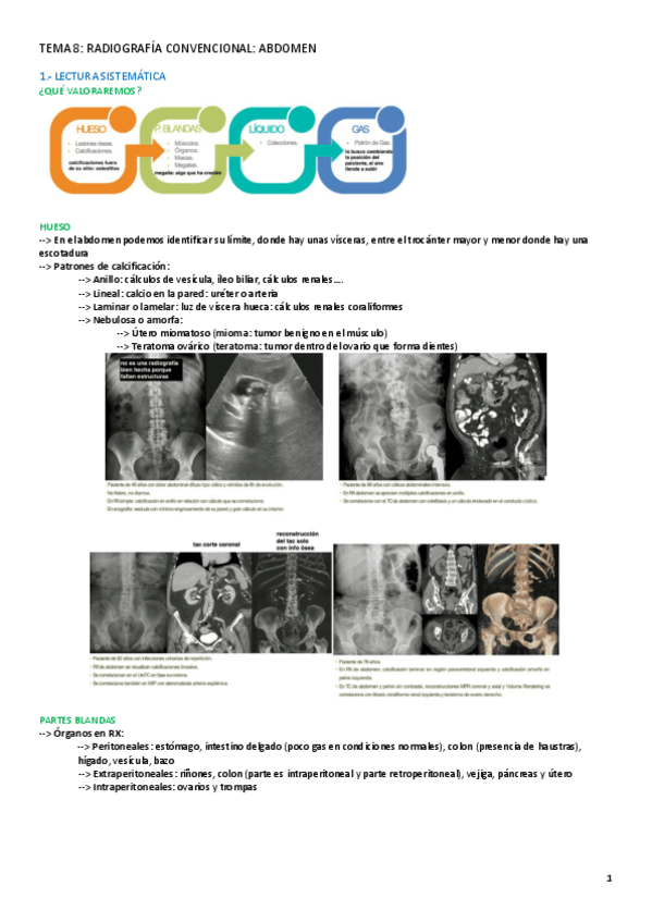 Miniatura del documento TEMA-8-RADIOLOGIA.pdf